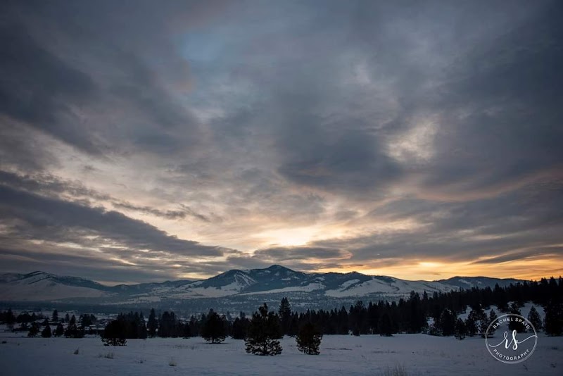 Discover the Blue Mountain Nature Trail: A Hiker's Paradise Near Missoula surrounding landscape