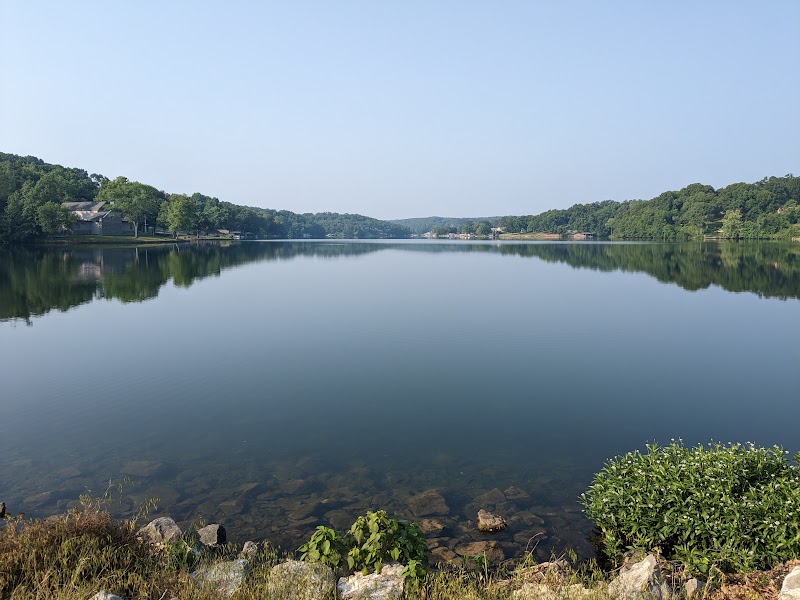 Experience the Wonders of Tanyard Creek Nature Trail Near Bella Vista surrounding landscape