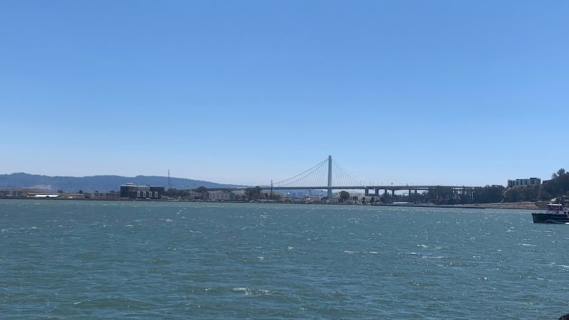Set Sail: Unveiling the Thrill of Sailing in San Francisco Bay surrounding landscape