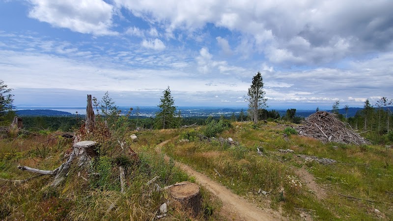 Exploring Biking Trails in Bellingham, WA - Bellingham 