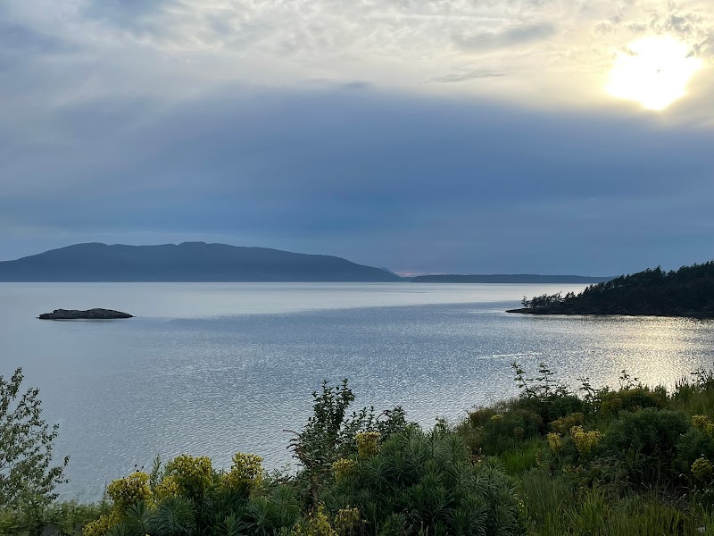 Paddle Through Paradise: Kayaking in Chuckanut Bay - Bellingham 