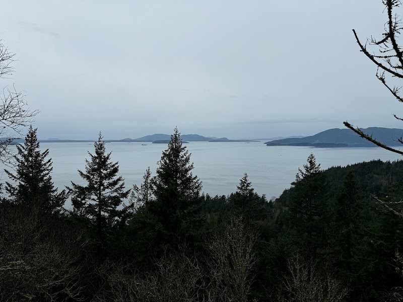 Chuckanut Mountain: A Mountain Biker’s Playground - Pine and Cedar Lakes Trail