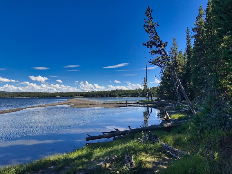 Camp Under the Stars at Grant Village Campground: A Portal to Yellowstone’s Wonders - Yellowstone National Park