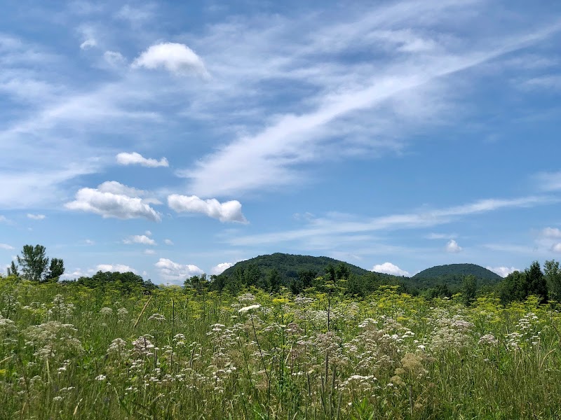 Hiking the Thunderbolt Trail in The Berkshires surrounding landscape