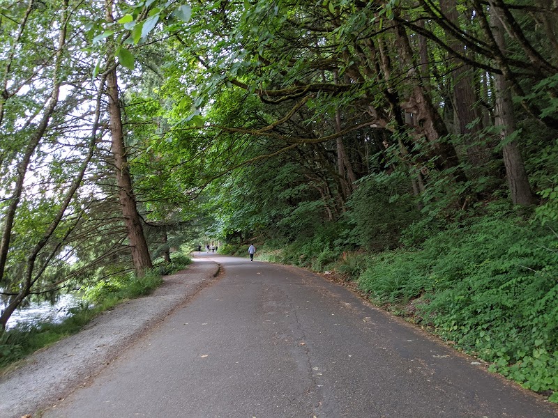 Running the Seward Park Loop in Seattle