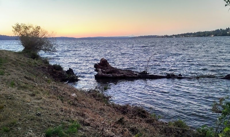 Paddleboarding on Lake Washington: Seattle's Aquatic Playground - Image 1