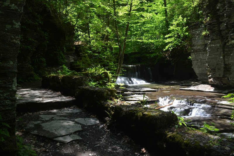 Hiking the Gorge Trail in Fillmore Glen State Park surrounding landscape