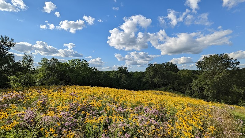Camp Like a Pro at Prairie Creek Recreation Area: A Hidden Gem Near Rogers - Prairie Creek