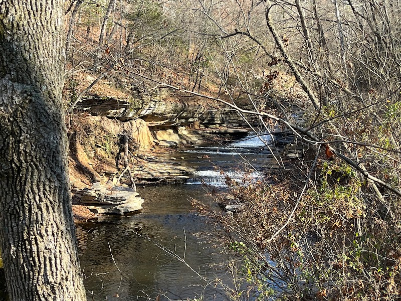 Experience the Wonders of Tanyard Creek Nature Trail Near Bella Vista outdoor detail
