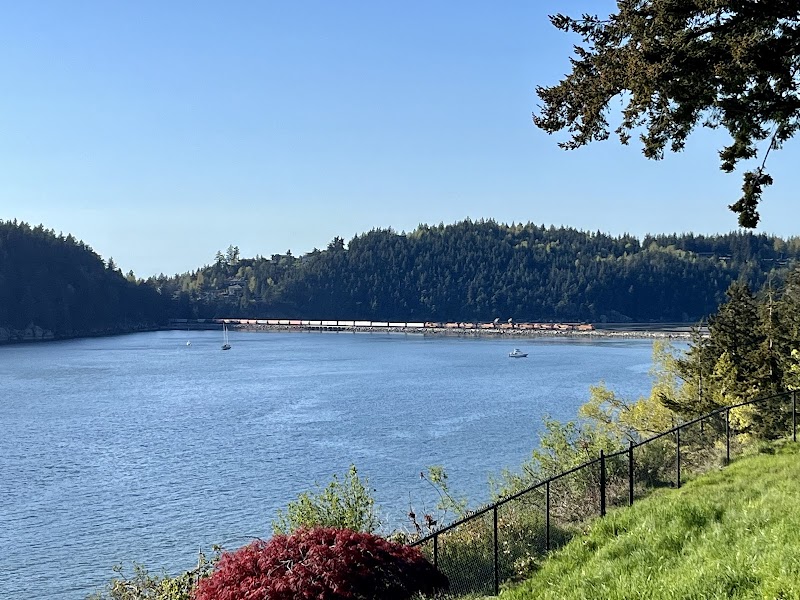 Paddle Through Paradise: Kayaking in Chuckanut Bay - Bellingham 