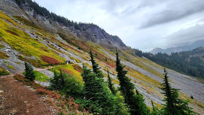 Discover the Beauty of the Chain Lakes Loop: A Hiker's Paradise Near Bellingham outdoor detail