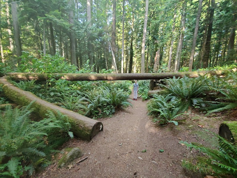 Rock Climbing Adventures Await at Stimson Family Nature Reserve - Bellingham 
