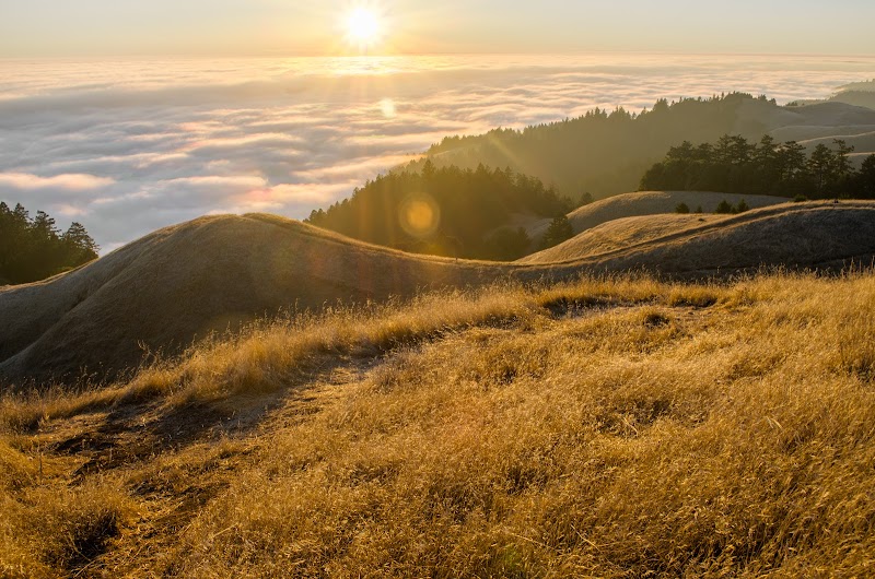 Conquer the Peaks: Hiking Mount Tamalpais Near San Francisco - San Francisco