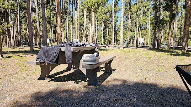 Camp Under the Stars at Grant Village Campground: A Portal to Yellowstone’s Wonders - Yellowstone National Park