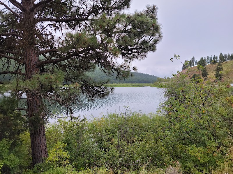 Paddleboarding Paradise: Discovering Salmon Lake near Missoula - Missoula