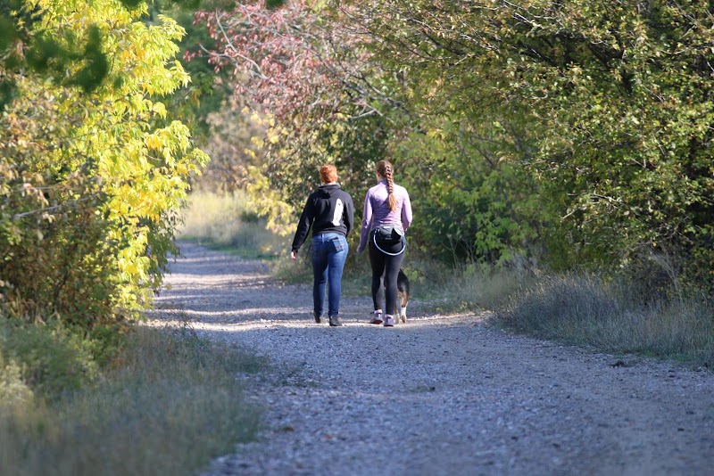 Pedal Through Scenic Splendor: Biking the Kim Williams Nature Trail surrounding landscape