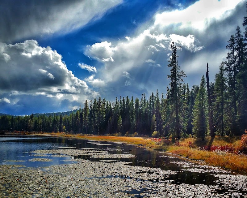 Paddleboarding Paradise: Navigate the Crystal Waters of Seeley Lake surrounding landscape