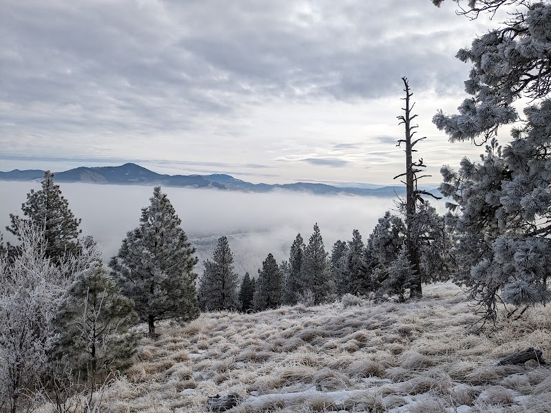 Ride the Trails: Biking the Blue Mountain National Recreation Trail Near Missoula - Forest Road 365