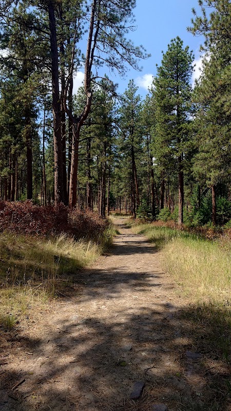 Ride the Trails: Biking the Blue Mountain National Recreation Trail Near Missoula surrounding landscape