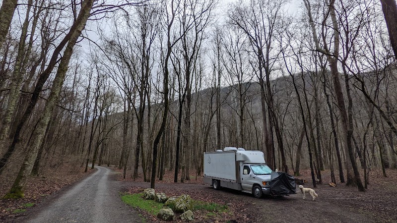 Camping at Glade Creek Campground in New River Gorge - New River Gorge