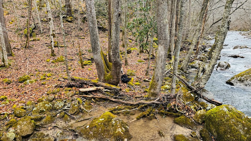 Camping at Glade Creek Campground in New River Gorge outdoor detail