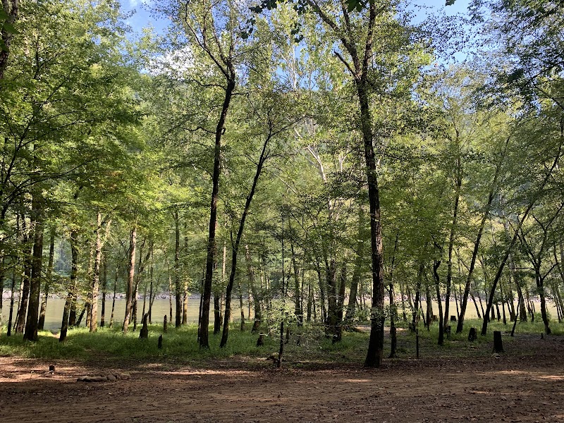 Camping at Glade Creek Campground in New River Gorge surrounding landscape