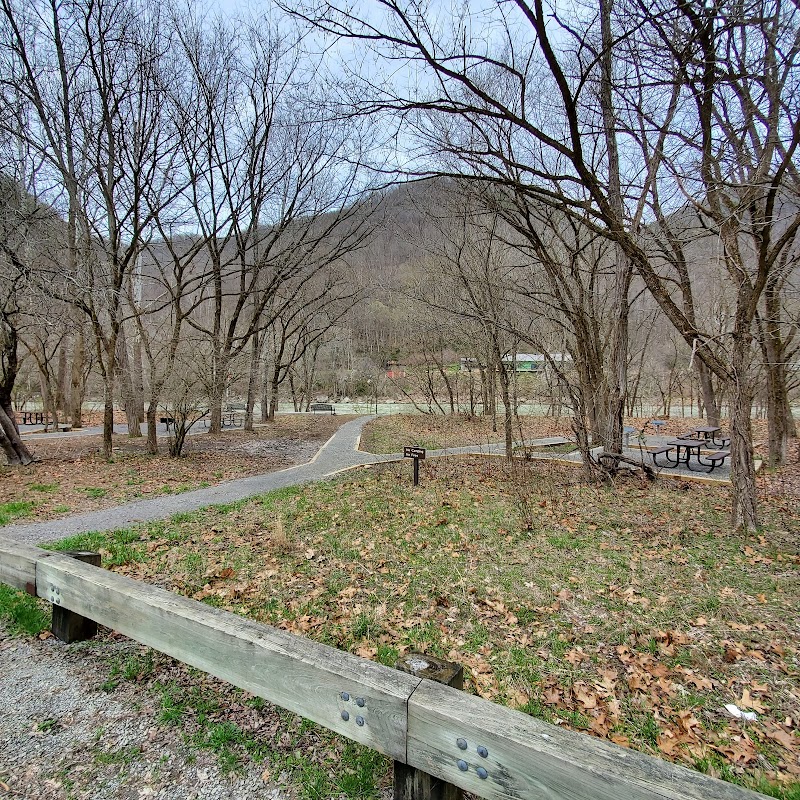 Camping at Army Camp Campground in New River Gorge surrounding landscape