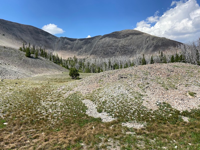 Hiking the Avalanche Peak Trail in Yellowstone National Park surrounding landscape