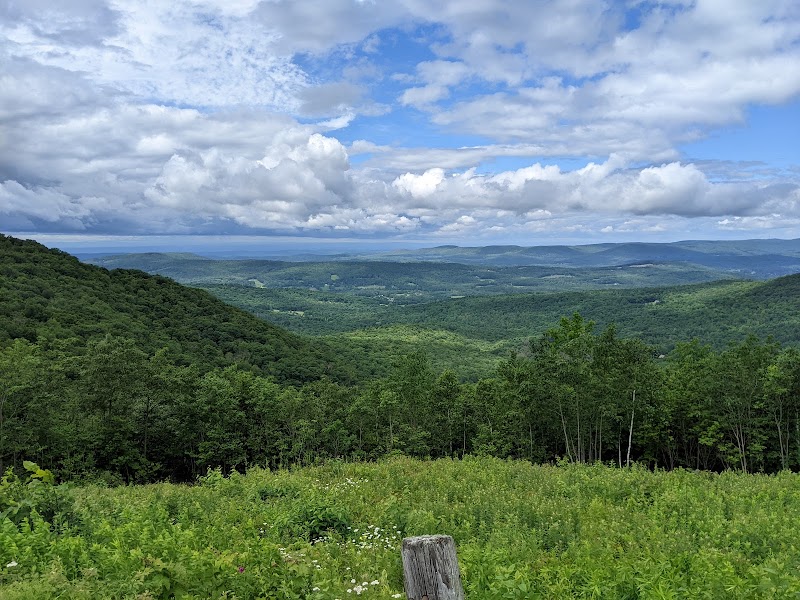 Mountain Biking on the Trails of Pittsfield State Forest in The Berkshires surrounding landscape