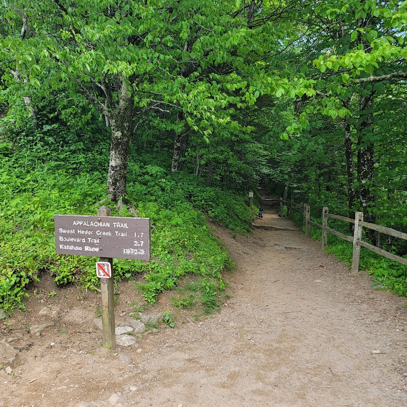 Explore the Appalachian Trail via Newfound Gap  - Gatlinburg