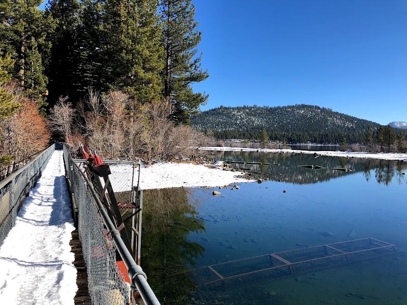 Fishing at Taylor Creek in Lake Tahoe surrounding landscape