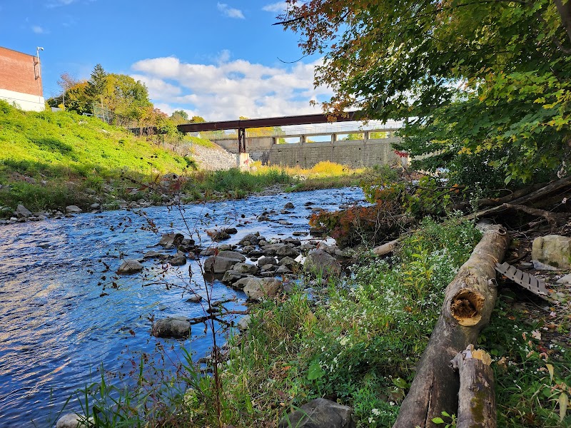 Running the Auburn Trail - 2-10 NY-96