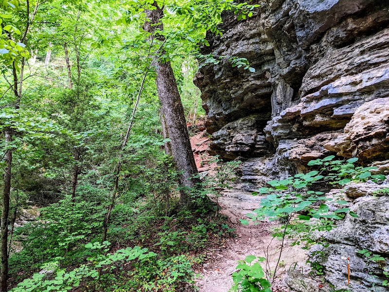Pedal Through Natural Serenity: Bike the Blowing Springs Trails - Tanyard Creek Trail