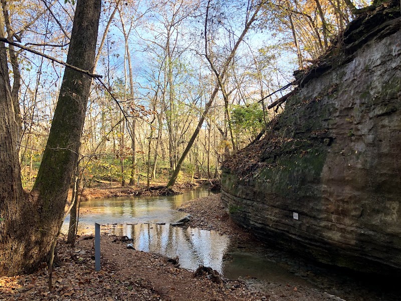 Experience the Wonders of Tanyard Creek Nature Trail Near Bella Vista - Bella Vista