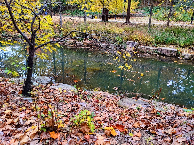 Discover the Scenic Trails of Crystal Bridges Near Bentonville surrounding landscape