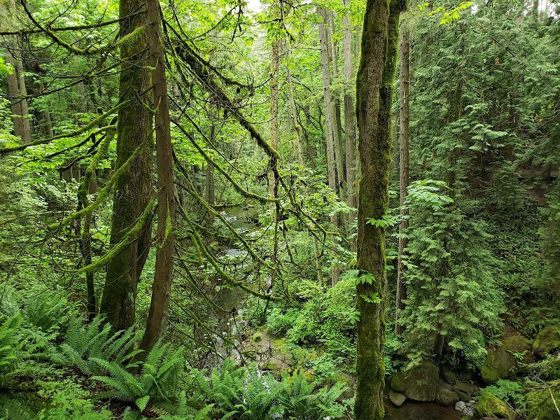 Pedal Power: Riding the North Lake Whatcom Trail Near Bellingham - Bellingham 