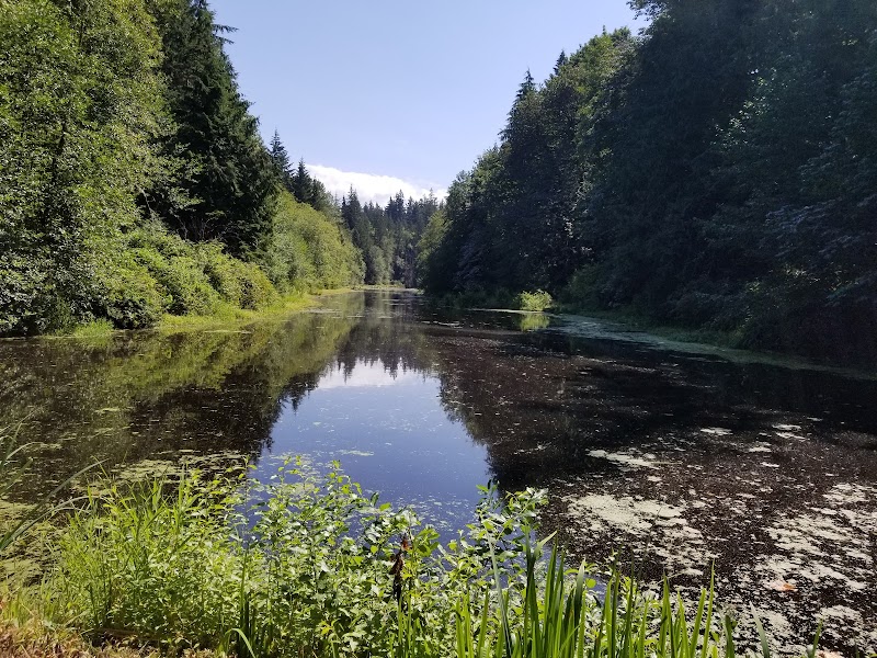 Rock Climbing Adventures Await at Stimson Family Nature Reserve - Bellingham 