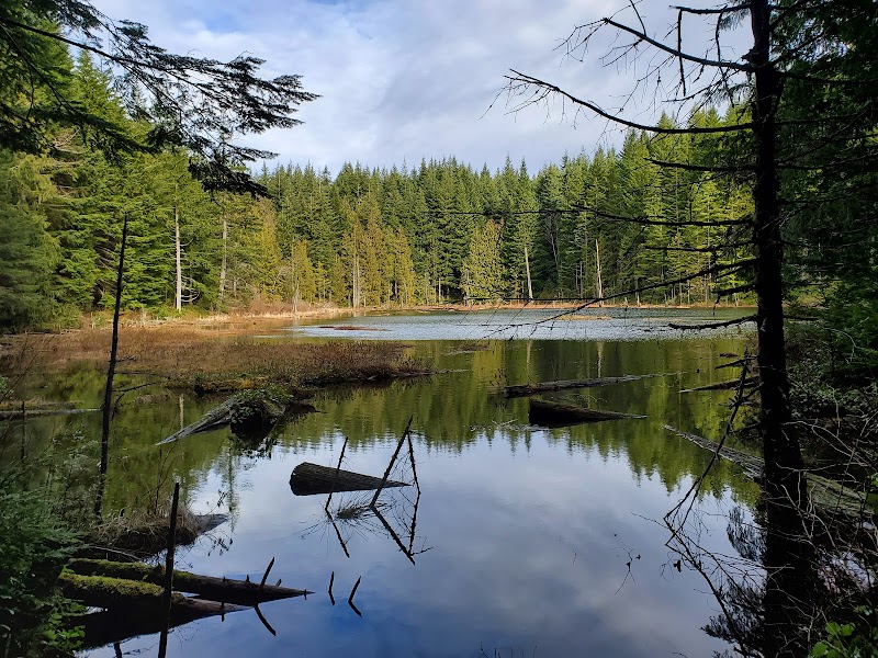 Ride The Horn Trail: A Gateway to Alpine Adventure outdoor detail