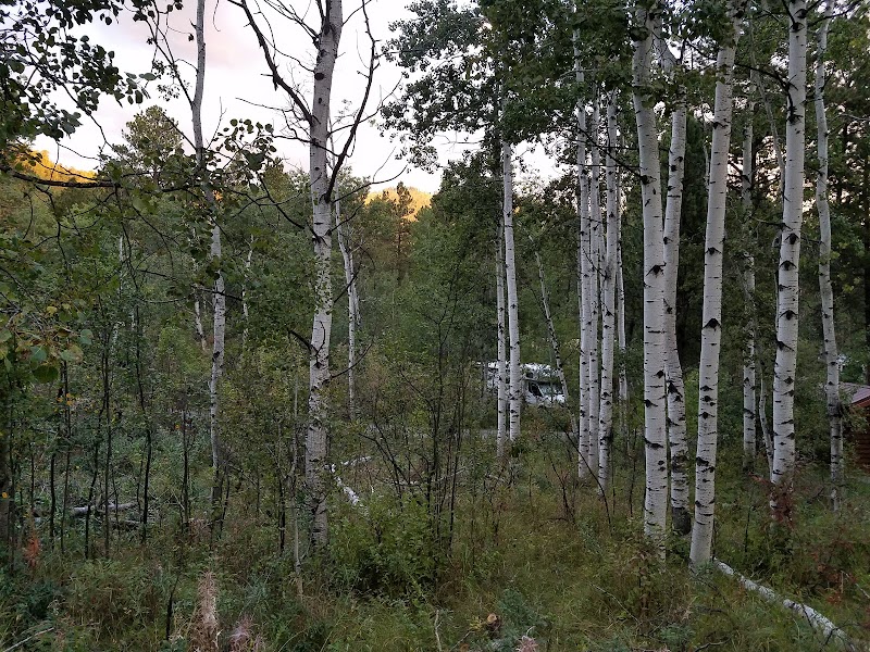 Camping at Oreville Campground in Black Hills National Forest - Black Hills