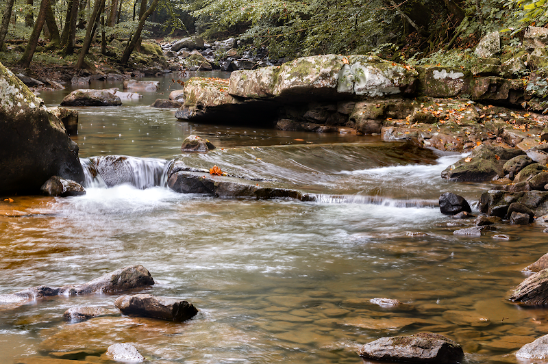 Camping at Glade Creek Campground in New River Gorge - New River Gorge