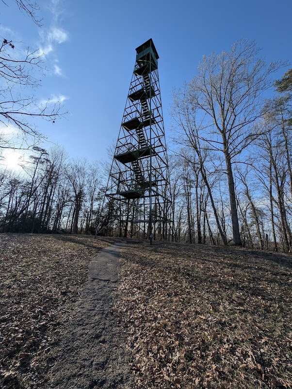 Discover the Natural Beauty of Clark State Forest surrounding landscape