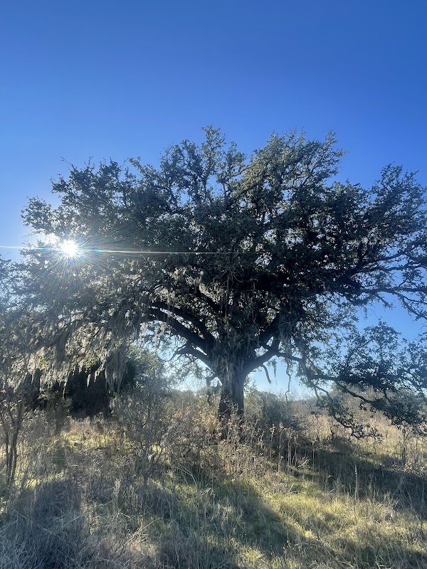 Purgatory Creek Natural Area: A Texan Haven for Outdoor Enthusiasts - Purgatory Creek Natural Area
