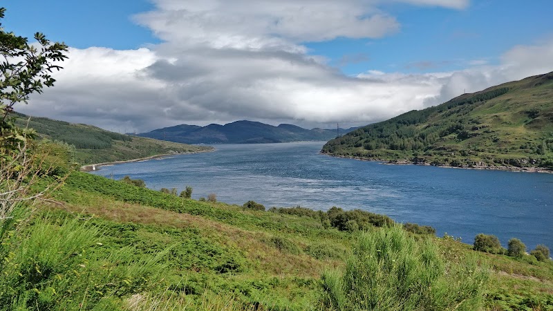 Wildlife Wonders at Otter Hide - Otter Hide