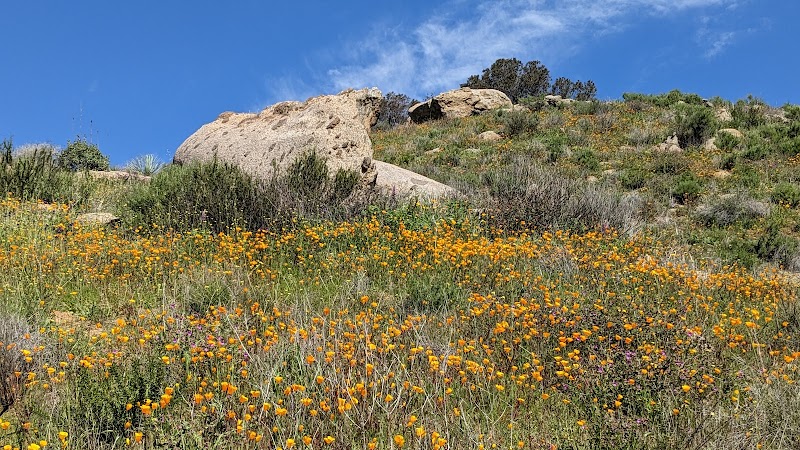 Cedar Creek Falls: Hidden Gem of San Diego County surrounding landscape