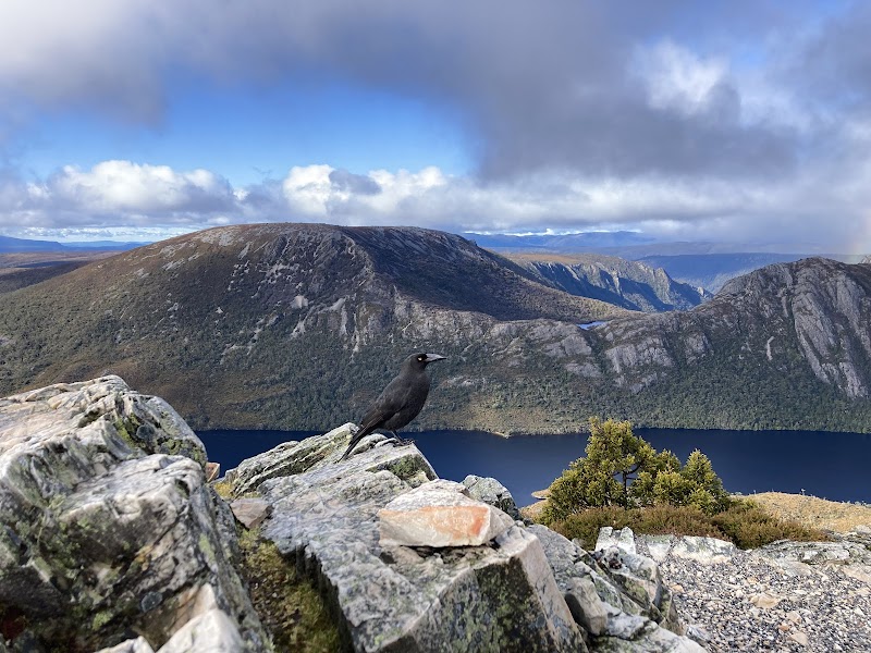 Cradle Mountain: Tasmania's Rugged Masterpiece surrounding landscape