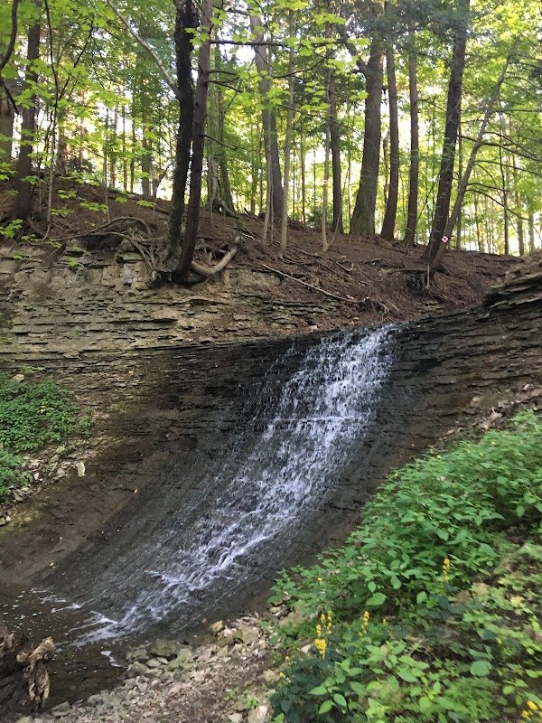 Discover the Grace of Tiffany Falls, Hamilton surrounding landscape