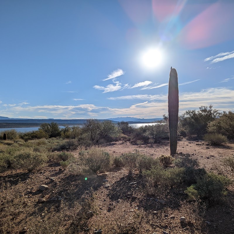 Discover Serenity at Tissaw Trailhead outdoor detail