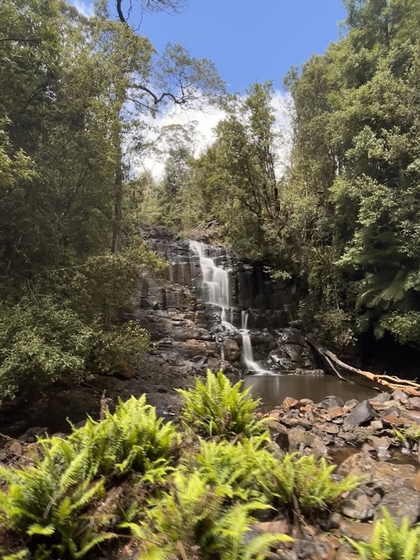 Captivating Cascades at Step Falls surrounding landscape