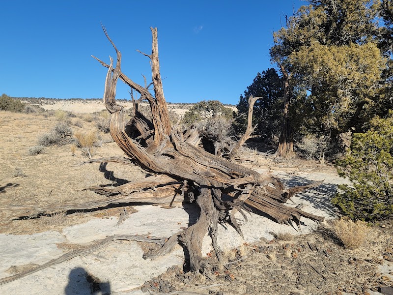 Waterfall Wonders: Upper Calf Creek Waterfall outdoor detail