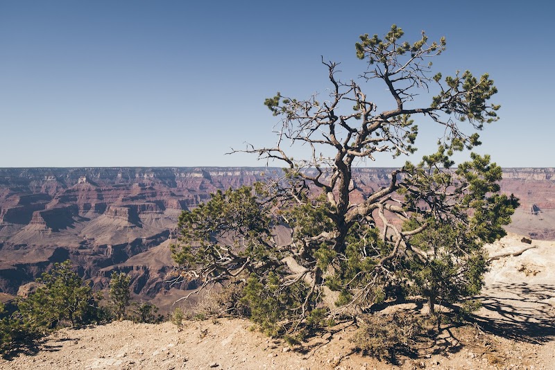 Majestic Views at Yaki Point - Yaki Point